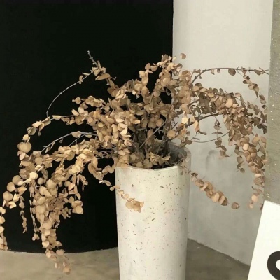 Furry绘画原创思路兽圈社群